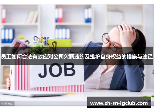 员工如何合法有效应对公司欠薪违约及维护自身权益的措施与途径 员工如何合法有效应对公司欠薪违约及维护自身权益的措施与途径