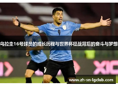 乌拉圭16号球员的成长历程与世界杯征战背后的奋斗与梦想 乌拉圭16号球员的成长历程与世界杯征战背后的奋斗与梦想