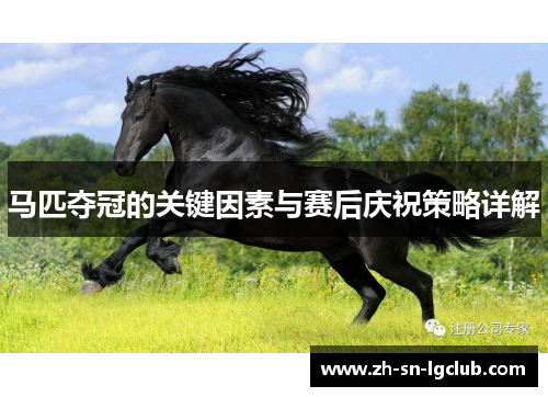马匹夺冠的关键因素与赛后庆祝策略详解 马匹夺冠的关键因素与赛后庆祝策略详解