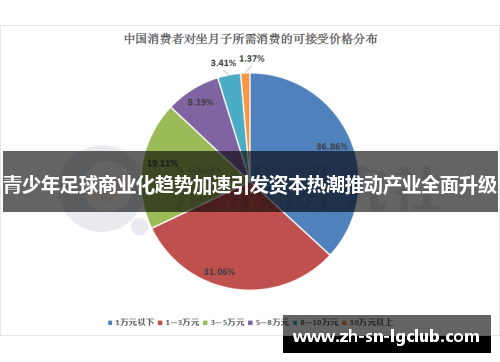 青少年足球商业化趋势加速引发资本热潮推动产业全面升级